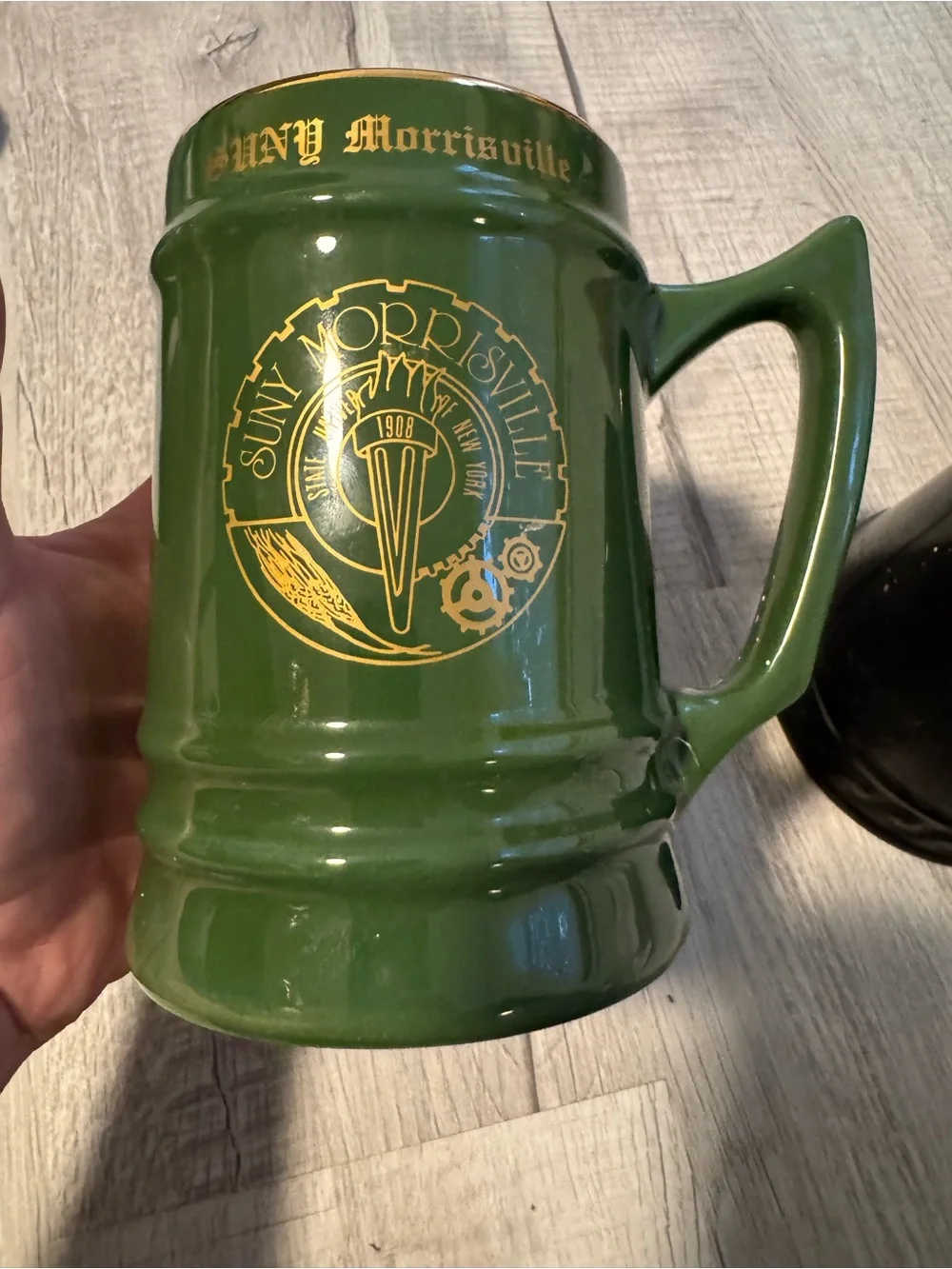 Vtg 90’s SUNY Morrisville Ceramic Large Beer Stein Set College Mugs USA RARE!